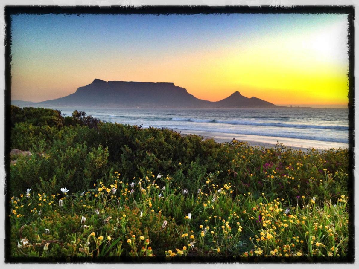 Lazy Days - Appartement Kaapstad